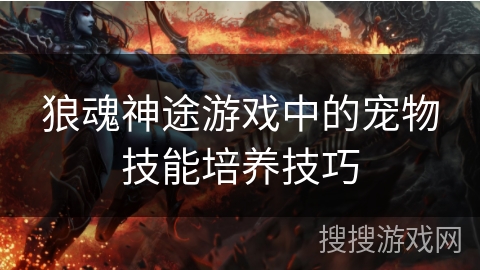 狼魂神途游戏中的宠物技能培养技巧 狼魂神途游戏中的宠物技能培养技巧