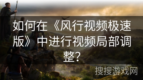 如何在《风行视频极速版》中进行视频局部调整？