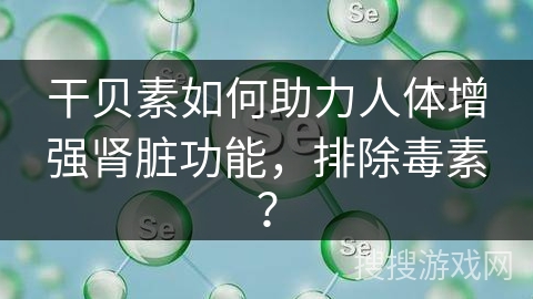 干贝素如何助力人体增强肾脏功能,排除毒素? 干贝素如何助力人体增强肾脏功能,排除毒素?