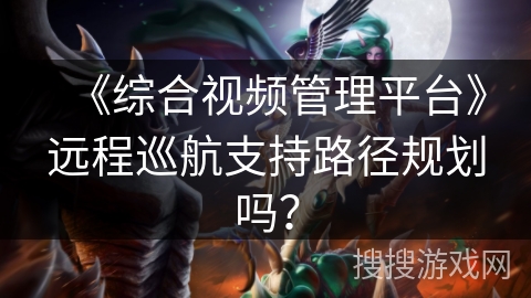 《综合视频管理平台》远程巡航支持路径规划吗？