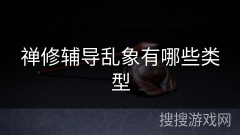 禅修辅导乱象有哪些类型