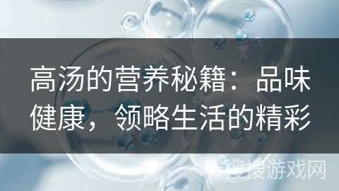 高汤的营养秘籍：品味健康，领略生活的精彩
