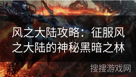 风之大陆攻略：征服风之大陆的神秘黑暗之林