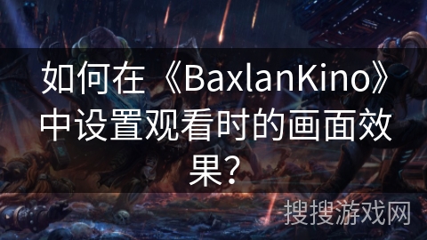 如何在《BaxlanKino》中设置观看时的画面效果？