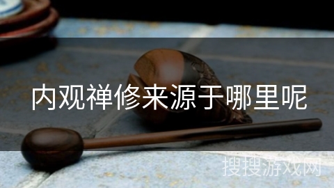 内观禅修来源于哪里呢