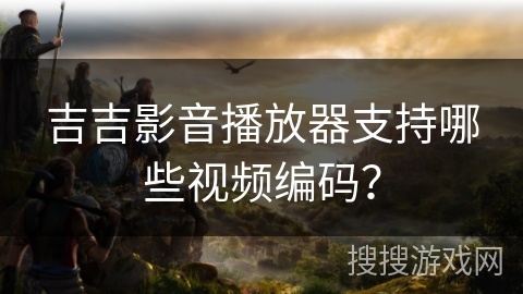 吉吉影音播放器支持哪些视频编码？