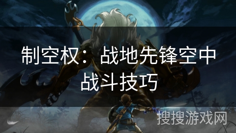 制空权：战地先锋空中战斗技巧