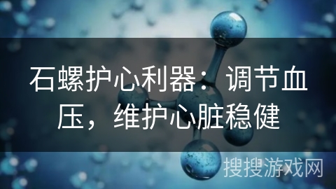 石螺护心利器：调节血压，维护心脏稳健