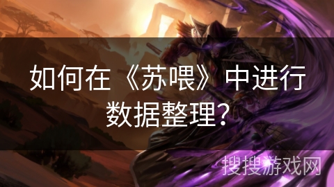 如何在《苏喂》中进行数据整理？