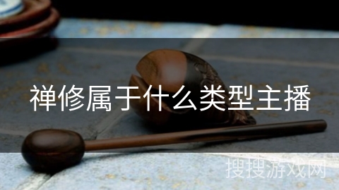 禅修属于什么类型主播