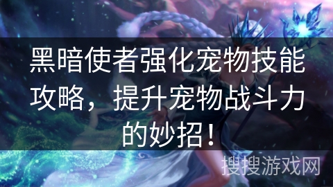 黑暗使者强化宠物技能攻略，提升宠物战斗力的妙招！