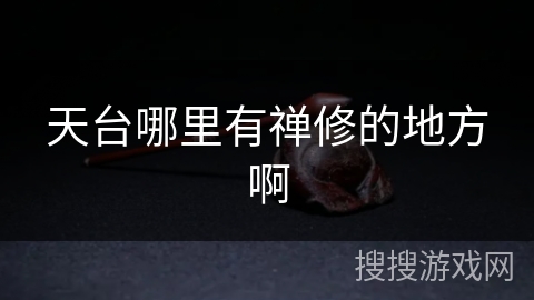 天台哪里有禅修的地方啊