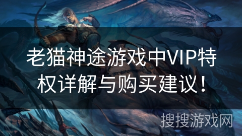 老猫神途游戏中VIP特权详解与购买建议！