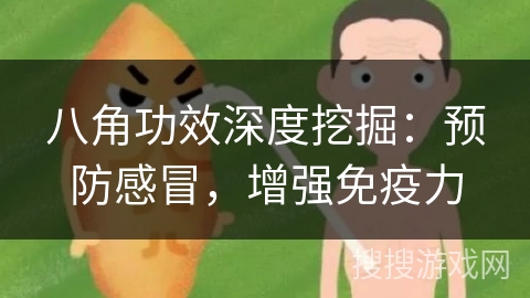 八角功效深度挖掘：预防感冒，增强免疫力