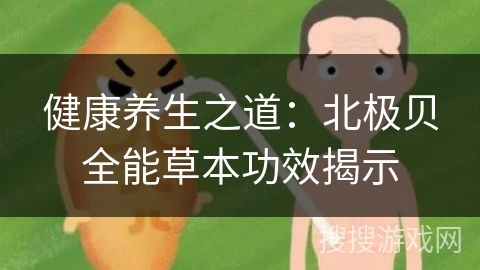 健康养生之道：北极贝全能草本功效揭示