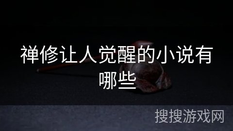 禅修让人觉醒的小说有哪些