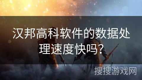 汉邦高科软件的数据处理速度快吗？