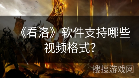 《看洛》软件支持哪些视频格式？