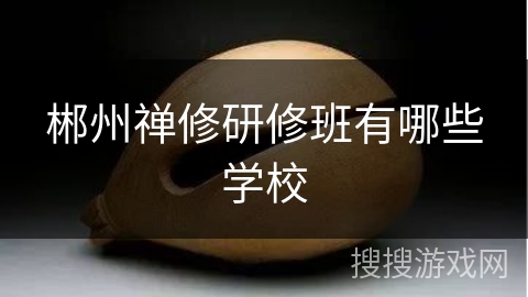 郴州禅修研修班有哪些学校