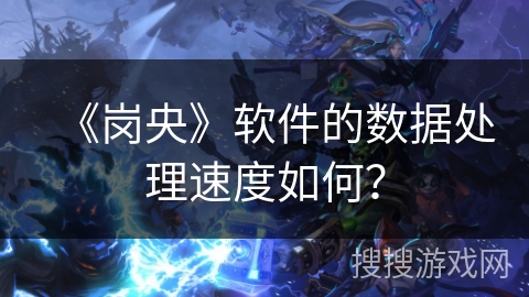 《岗央》软件的数据处理速度如何？