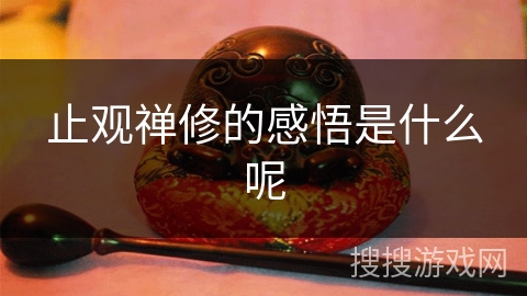 止观禅修的感悟是什么呢