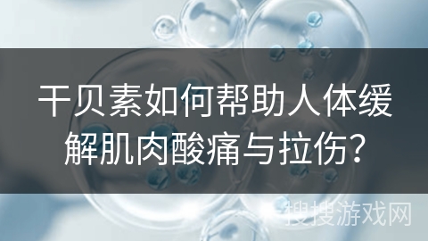 干贝素如何帮助人体缓解肌肉酸痛与拉伤? 干贝素如何帮助人体缓解肌肉酸痛与拉伤?