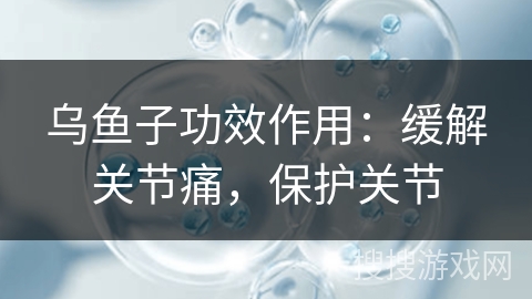乌鱼子功效作用：缓解关节痛，保护关节