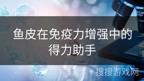 鱼皮在免疫力增强中的得力助手