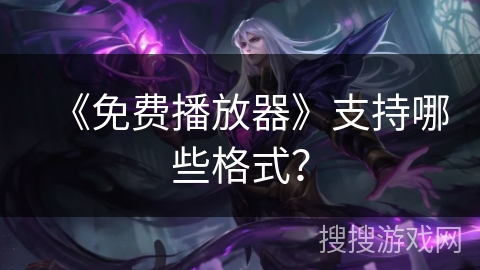 《免费播放器》支持哪些格式？