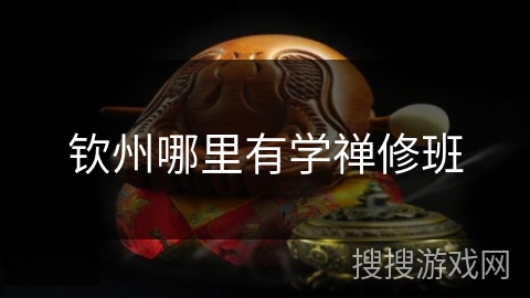 钦州哪里有学禅修班