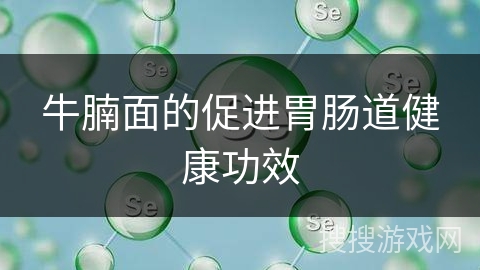 牛腩面的促进胃肠道健康功效