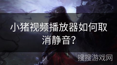 小猪视频播放器如何取消静音？