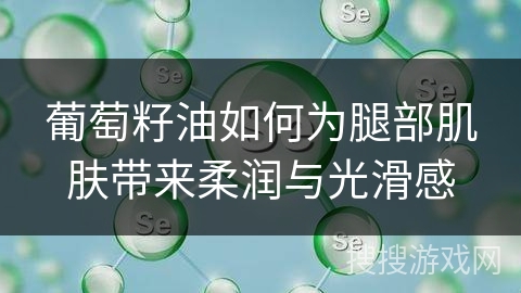 葡萄籽油如何为腿部肌肤带来柔润与光滑感