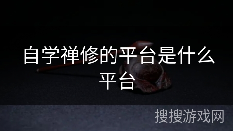 自学禅修的平台是什么平台