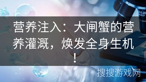 营养注入：大闸蟹的营养灌溉，焕发全身生机！