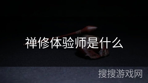 禅修体验师是什么