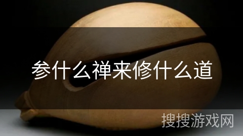 参什么禅来修什么道