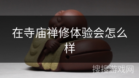 在寺庙禅修体验会怎么样