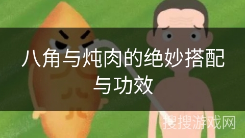 八角与炖肉的绝妙搭配与功效
