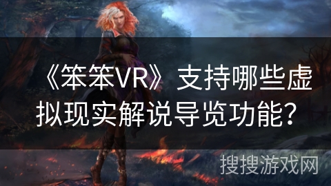 《笨笨VR》支持哪些虚拟现实解说导览功能？