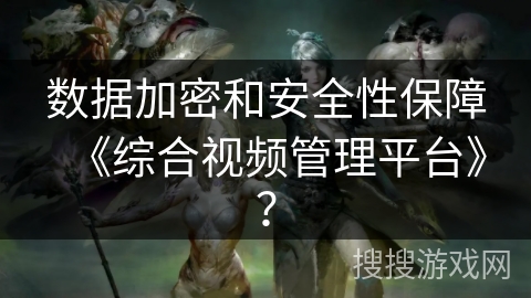 数据加密和安全性保障《综合视频管理平台》？