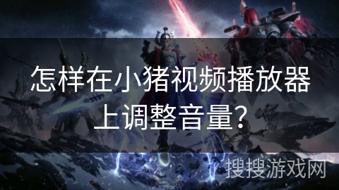 怎样在小猪视频播放器上调整音量？