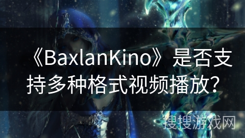 《BaxlanKino》是否支持多种格式视频播放？