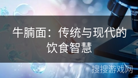 牛腩面：传统与现代的饮食智慧
