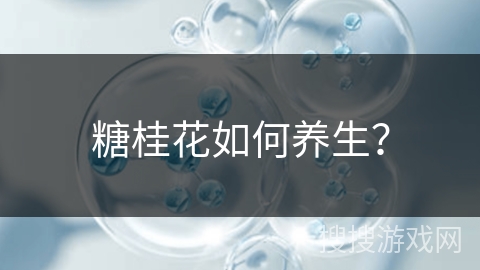 糖桂花如何养生？