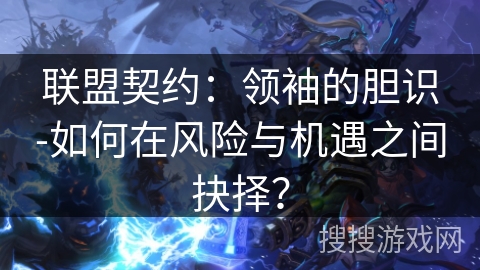 联盟契约：领袖的胆识-如何在风险与机遇之间抉择？