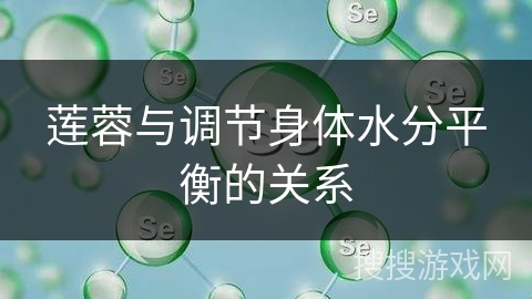 莲蓉与调节身体水分平衡的关系