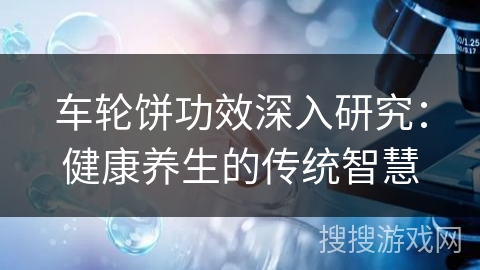 车轮饼功效深入研究：健康养生的传统智慧