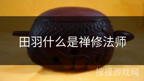 田羽什么是禅修法师