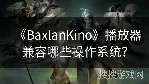 《BaxlanKino》播放器兼容哪些操作系统？